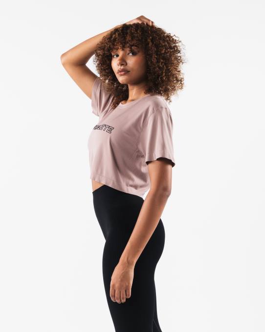 klær T442205 porselensbrun core airtech ss crop kvinner Alphalete - Bilde 3