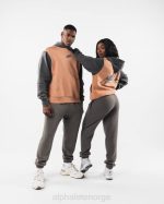 klær T442270 leire brun stensil hettegenser unisex Alphalete - Bilde 2