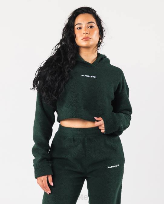 klaer_t442276_eviggronn_gronn_king_crop_hettegenser_kvinner_alphalete.jpg klær T442276 eviggrønn grønn king crop hettegenser kvinner Alphalete - Bilde 1