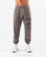 klær T442458 askegrå Earth dye grafisk jogger unisex Alphalete