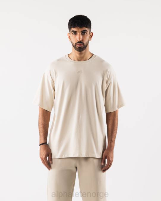 klaer_t442492_havsalt_brun_justert_tee_menn_alphalete.jpg klær T442492 havsalt brun justert tee menn Alphalete - Bilde 1