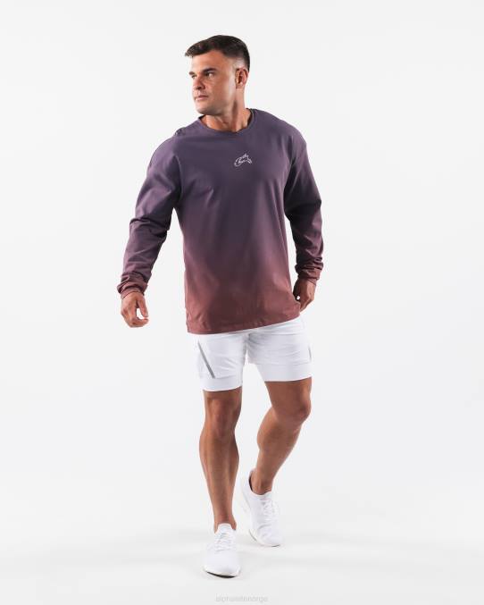 klær T442494 støvete rosa gradient lilla ulvehode er tee menn Alphalete - Bilde 2