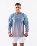 klær T442496 stille vanngradient blå ulvehode er tee menn Alphalete