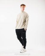 klær T442539 havskjell brun børstet kjerne mock neck ls menn Alphalete - Bilde 2