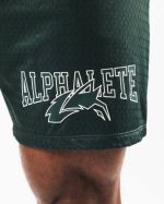 klær T442660 eviggrønne ulvehode mesh kort 6" menn Alphalete - Bilde 6