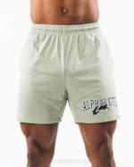 klær T442661 salvie grønn ulvehode mesh kort 6" menn Alphalete
