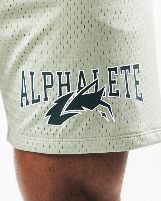 klær T442661 salvie grønn ulvehode mesh kort 6" menn Alphalete - Bilde 6