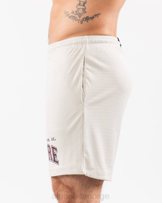 klær T442663 havskjell brun ldb mer mesh kort 6" menn Alphalete - Bilde 3