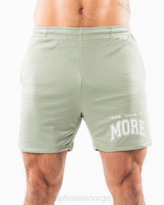 klær T442664 salvie grønn ldb mer mesh kort 6" menn Alphalete - Bilde 1