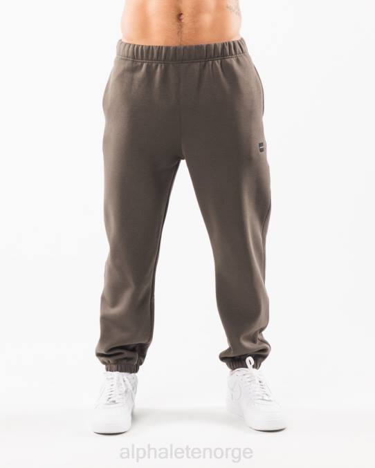 klær T442720 ørken taupe brun akademi avslappet jogger menn Alphalete - Bilde 1